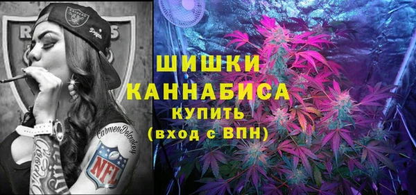 прущие грибы Навашино