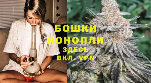прущие грибы Навашино