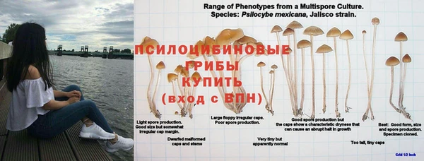 марки lsd Балахна